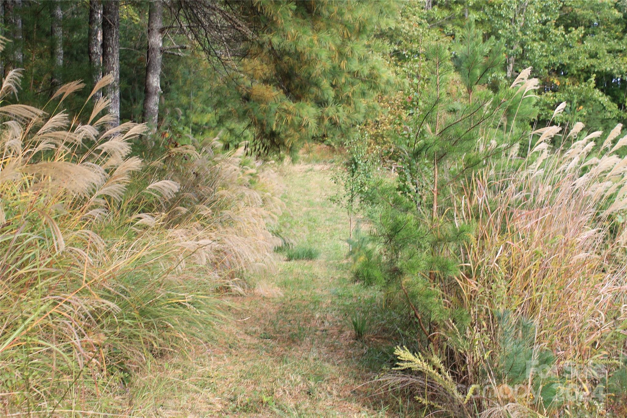 935 Calvin Edney Road Mars Hill, NC 28754 - Photo 29 of 32 Gallery Image 29