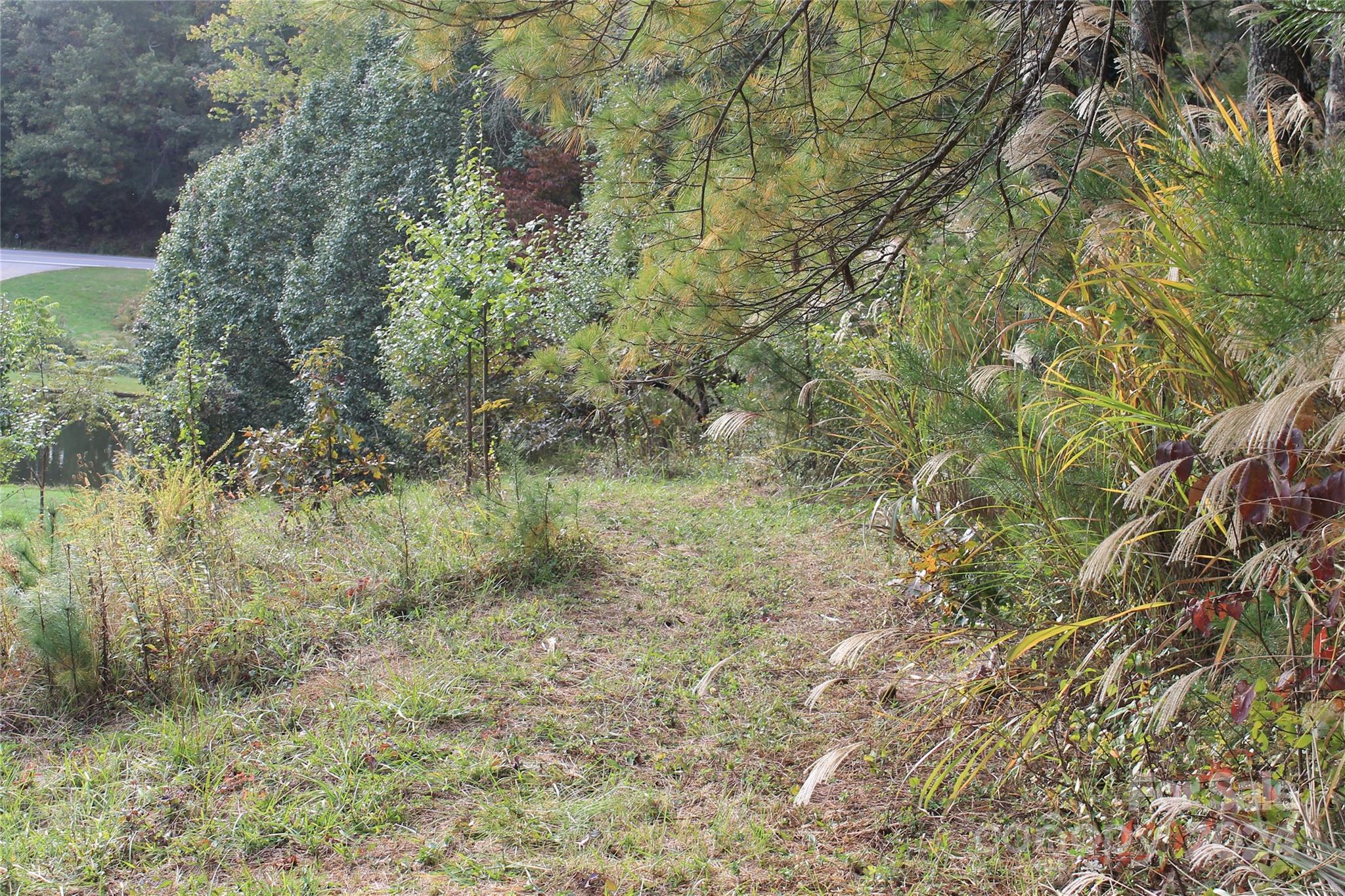 935 Calvin Edney Road Mars Hill, NC 28754 - Photo 30 of 32 Gallery Image 30
