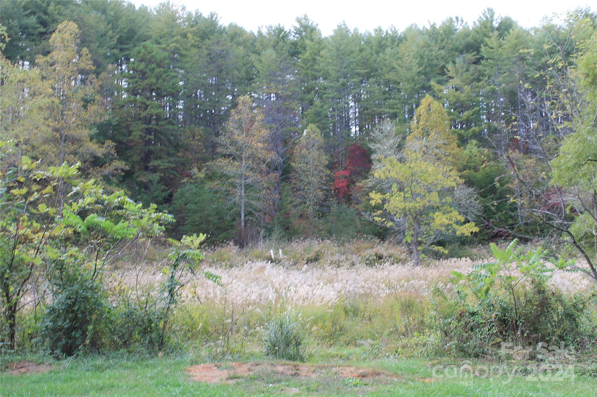 935 Calvin Edney Road Mars Hill, NC 28754 - Photo 32 of 32 Gallery Image 32