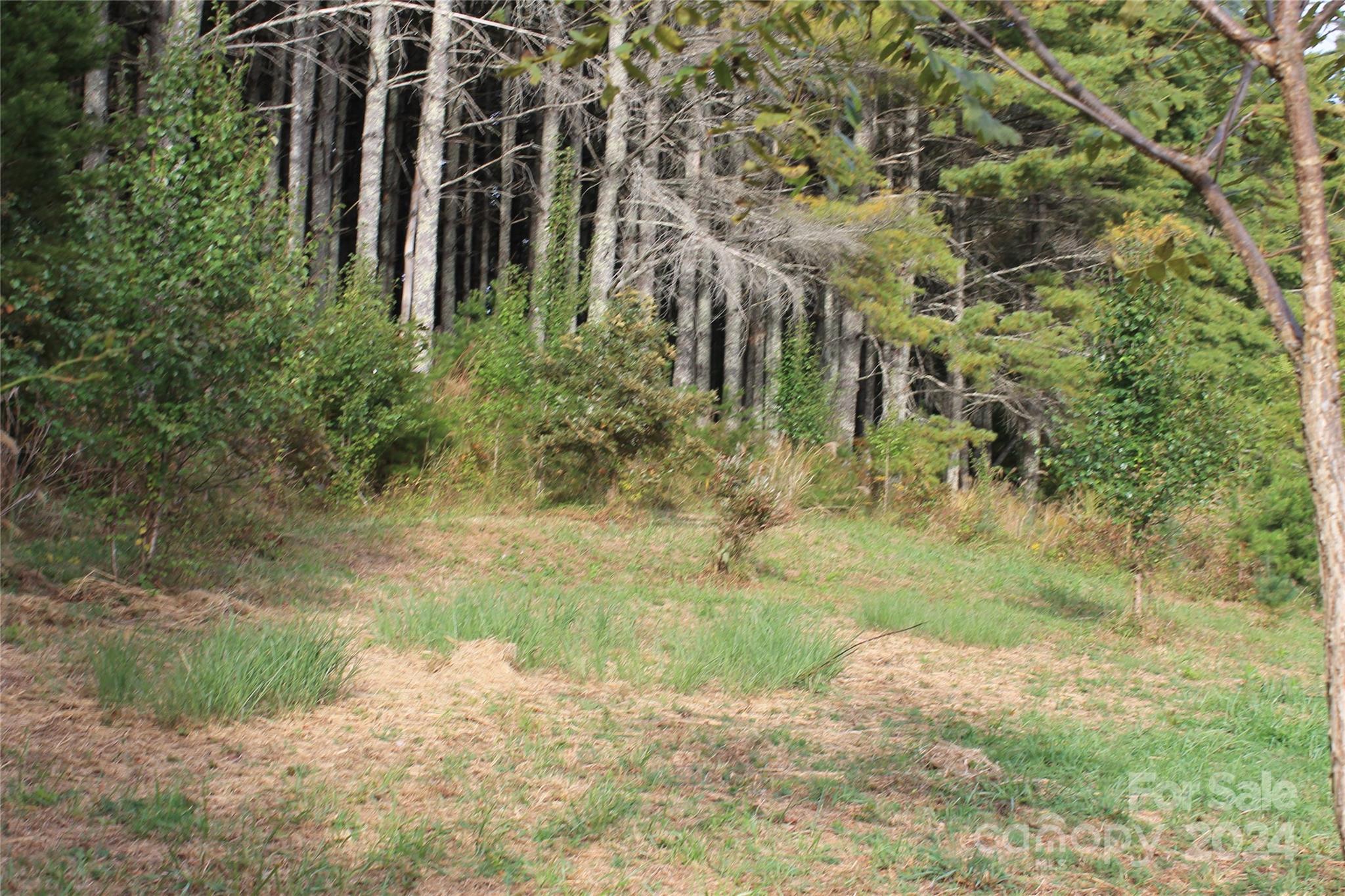 935 Calvin Edney Road Mars Hill, NC 28754 - Photo 9 of 32 Gallery Image 9