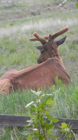 a view of a garden with an outdoor space