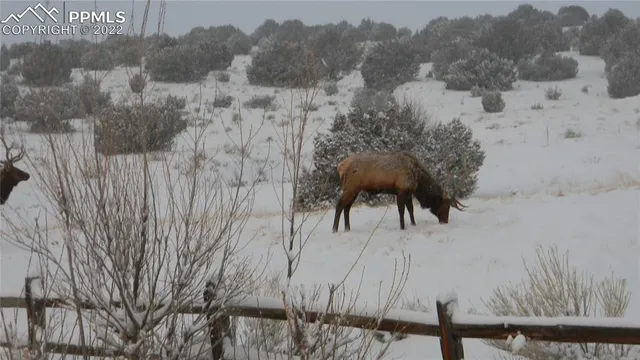 a view of a backyard of the house