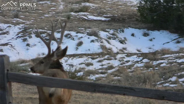 a view of window and outdoor space