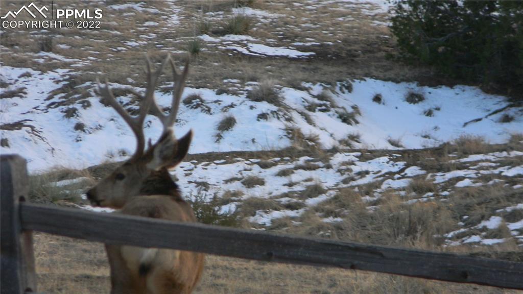 6670 Zercher Road Beulah, CO 81023 - Photo 39 of 41 a view of window and outdoor space