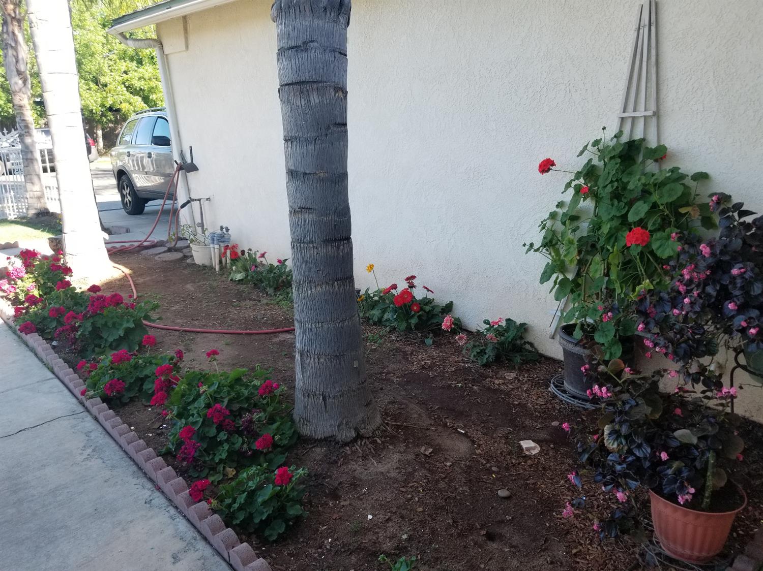 321 North Cedar Avenue Reedley, CA 93654 - Photo 29 of 37 Gallery Image 29