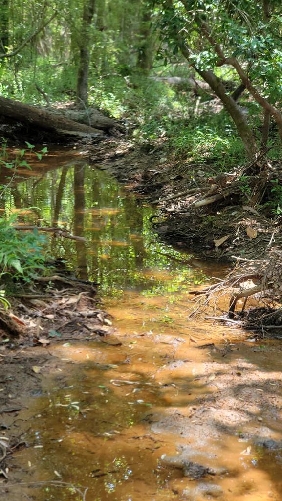 7.1-acres Cobb Road Dothan, AL 36301 - Photo 14 of 55