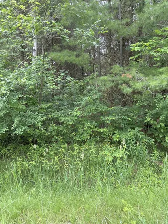 $4,500 | V/l Radov Road, Gladwin, MI 48624