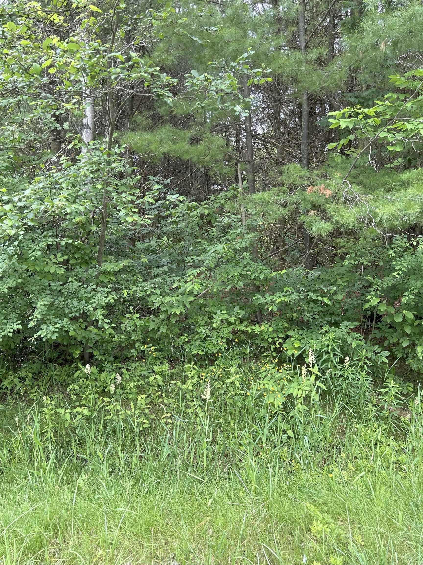 V/l Radov Road Gladwin, MI 48624 - Photo 1 of 5