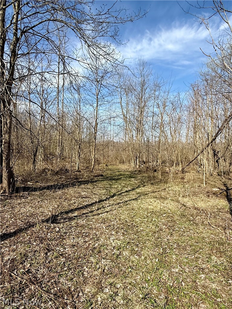 515 Middle Road Conneaut, OH 44030 - Photo 11 of 15