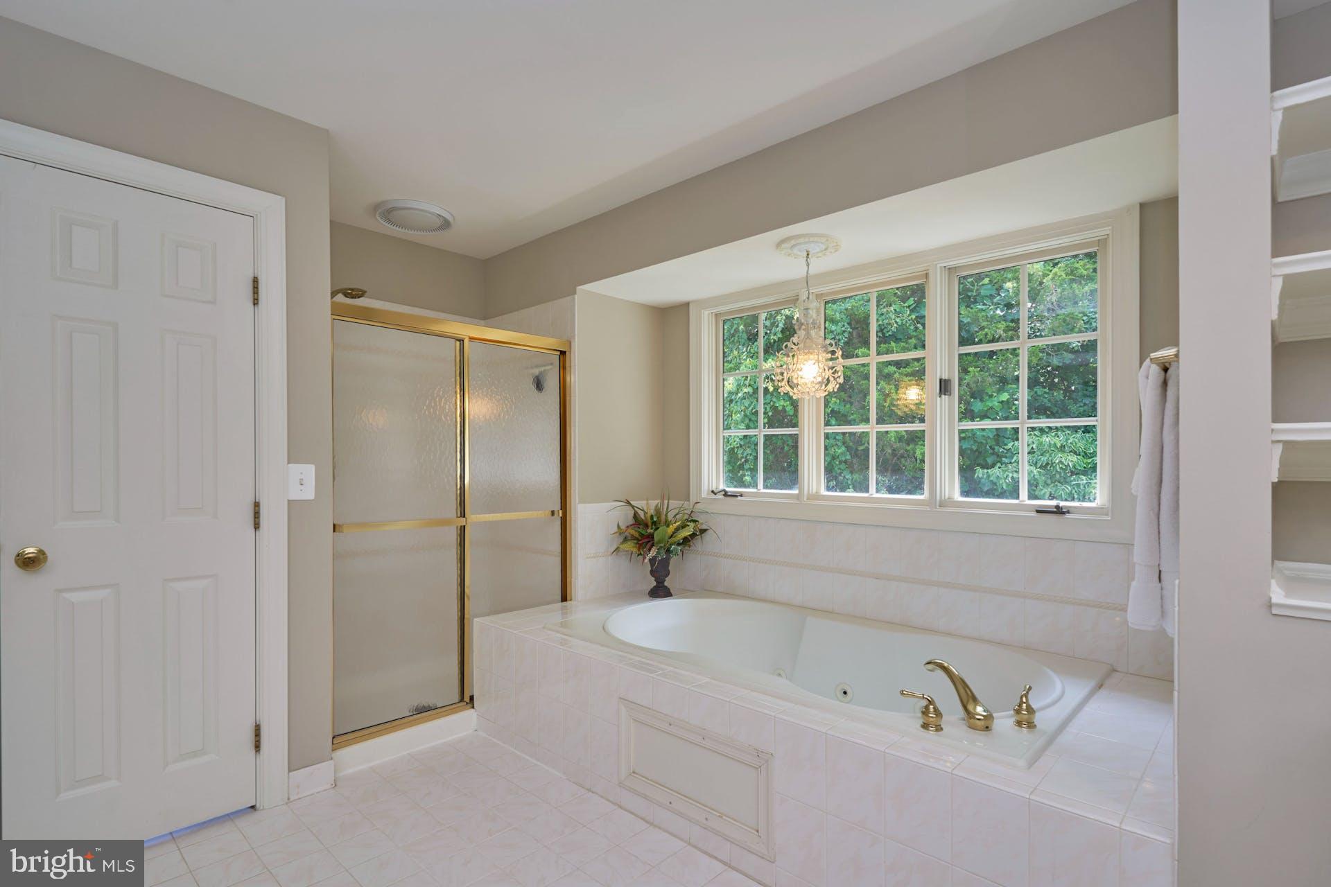 14241 Clubhouse Road Gainesville, VA 20155 - Photo 32 of 62 Jetted Jacuzzi tub and shower