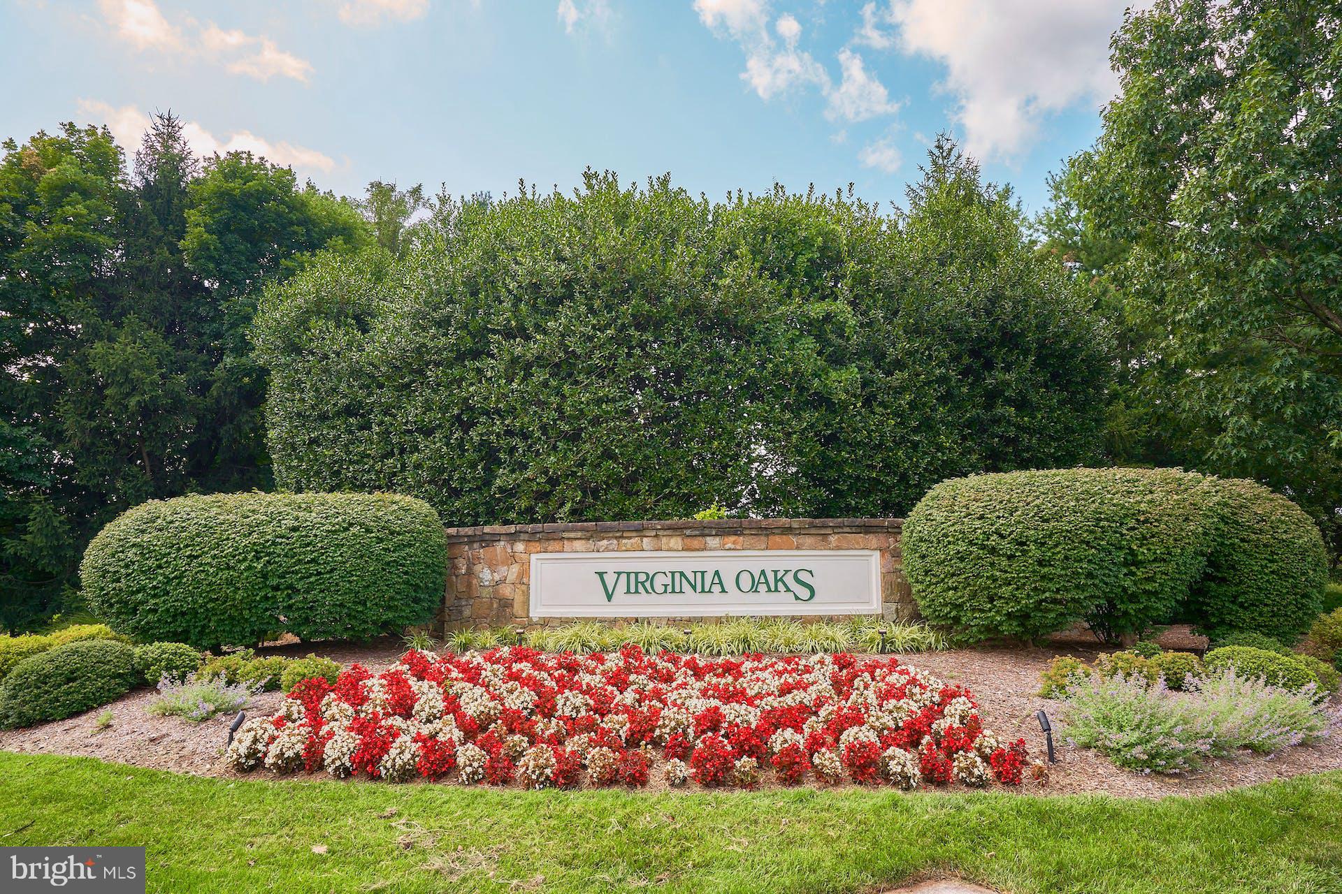 14241 Clubhouse Road Gainesville, VA 20155 - Photo 53 of 62 Virginia Oaks entrance feature