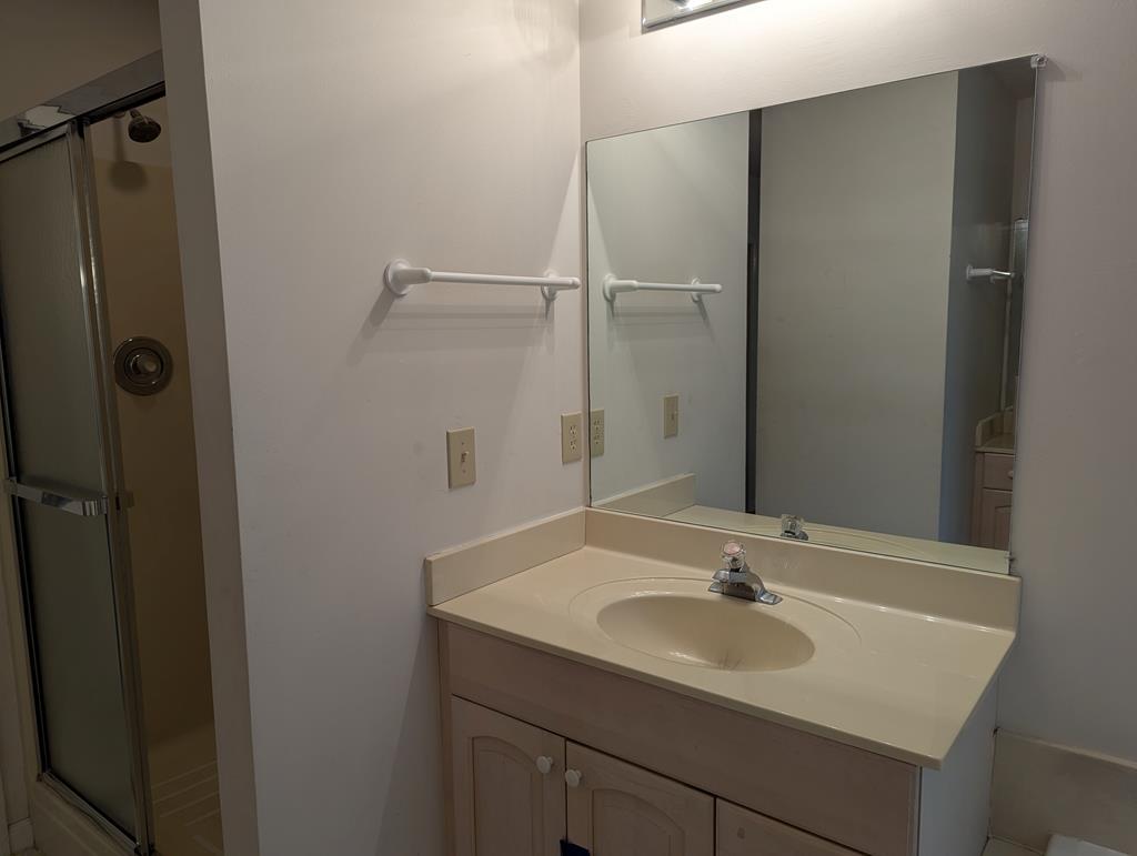 283 Deaver Cove Road Blairsville, GA 30512 - Photo 8 of 27 Master bath, Separate sinks, separate soaking tub and show.
