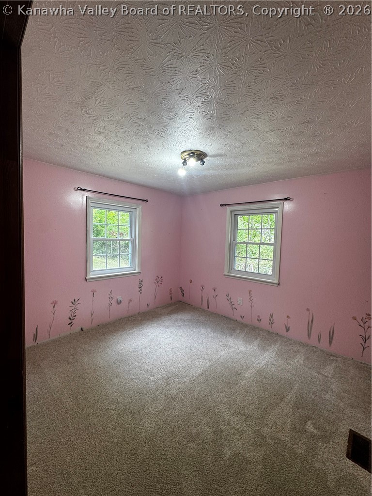 60 Stollinball Road Chapmanville, WV 25508 - Photo 15 of 45 Gallery Image 15