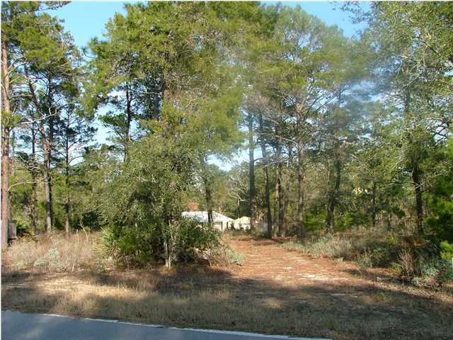 Lot 64 Point Washington Road Santa Rosa Beach, FL 32459 - Photo 6 of 7 Gallery Image 6