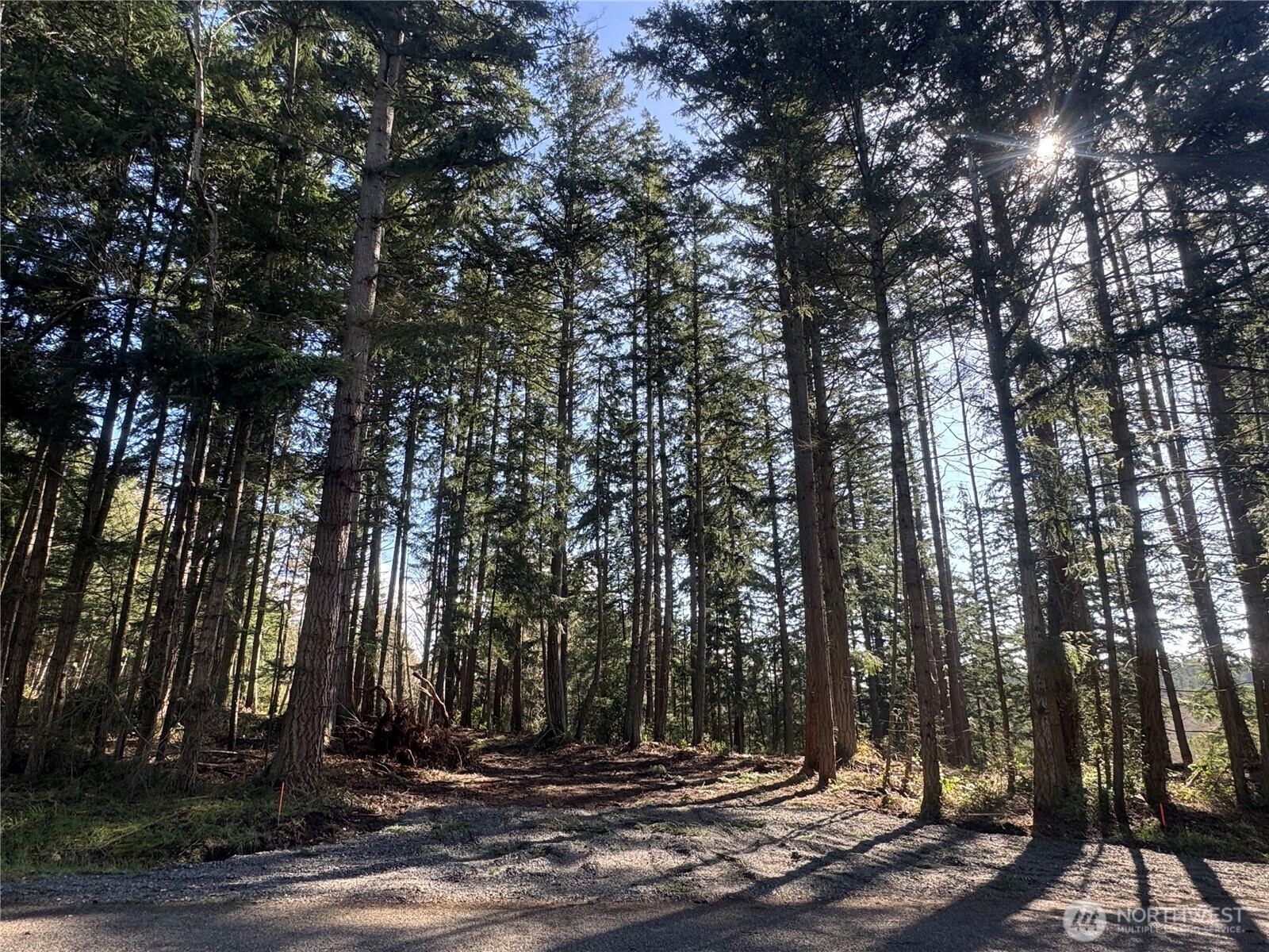 396 Durr Road Camano Island, WA 98282 - Photo 3 of 9 a view of outdoor space