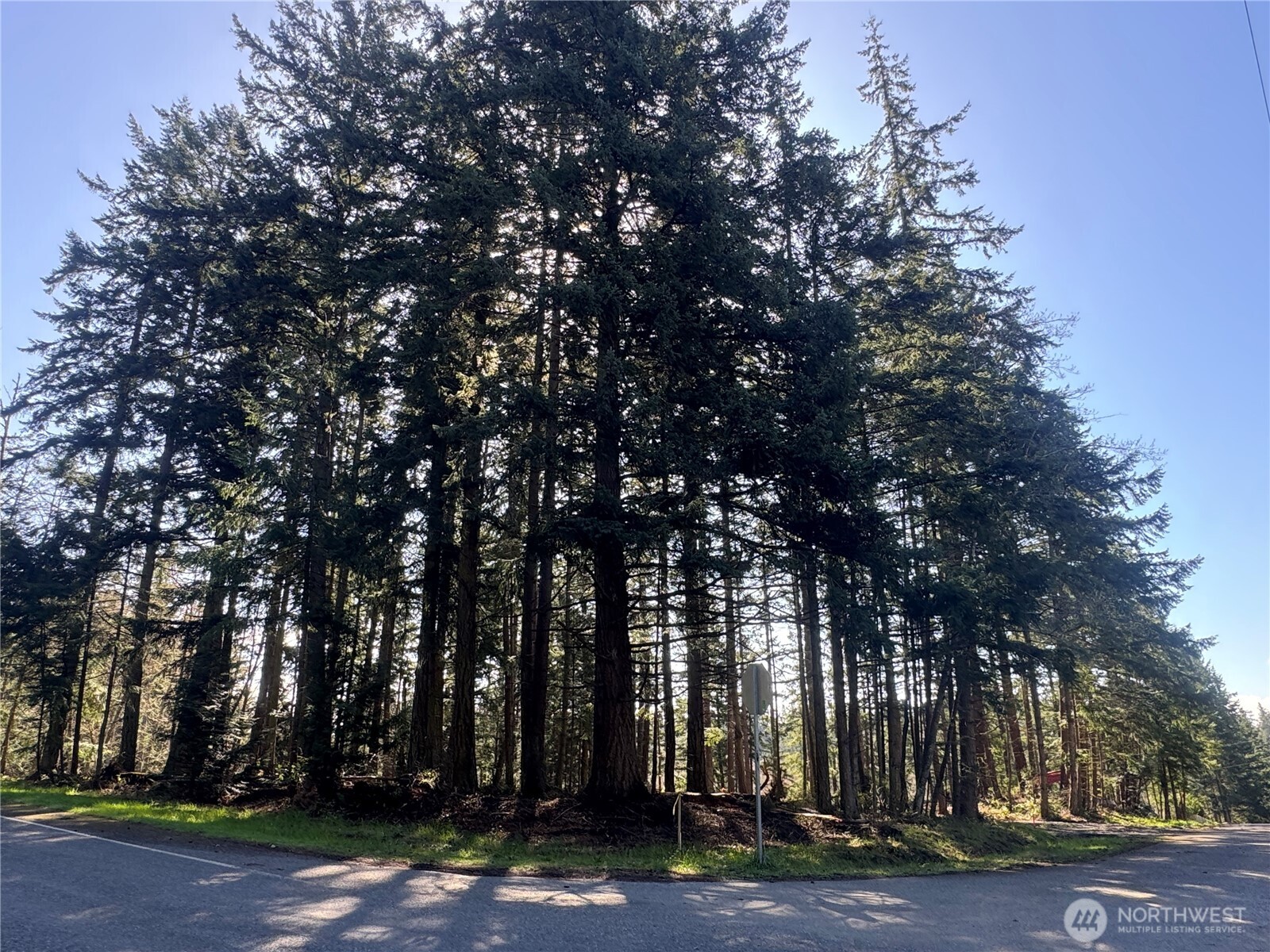 396 Durr Road Camano Island, WA 98282 - Photo 4 of 9 a view of road with trees