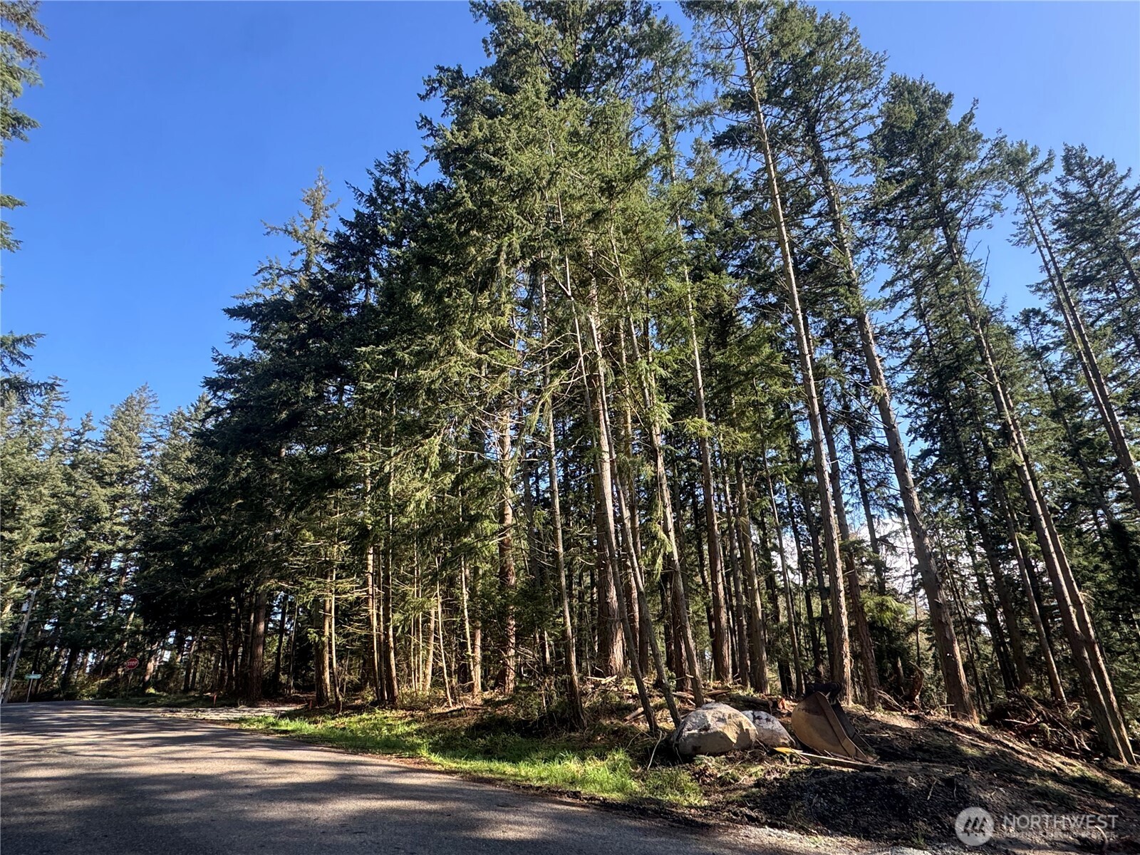 396 Durr Road Camano Island, WA 98282 - Photo 5 of 9 a view of street along with trees