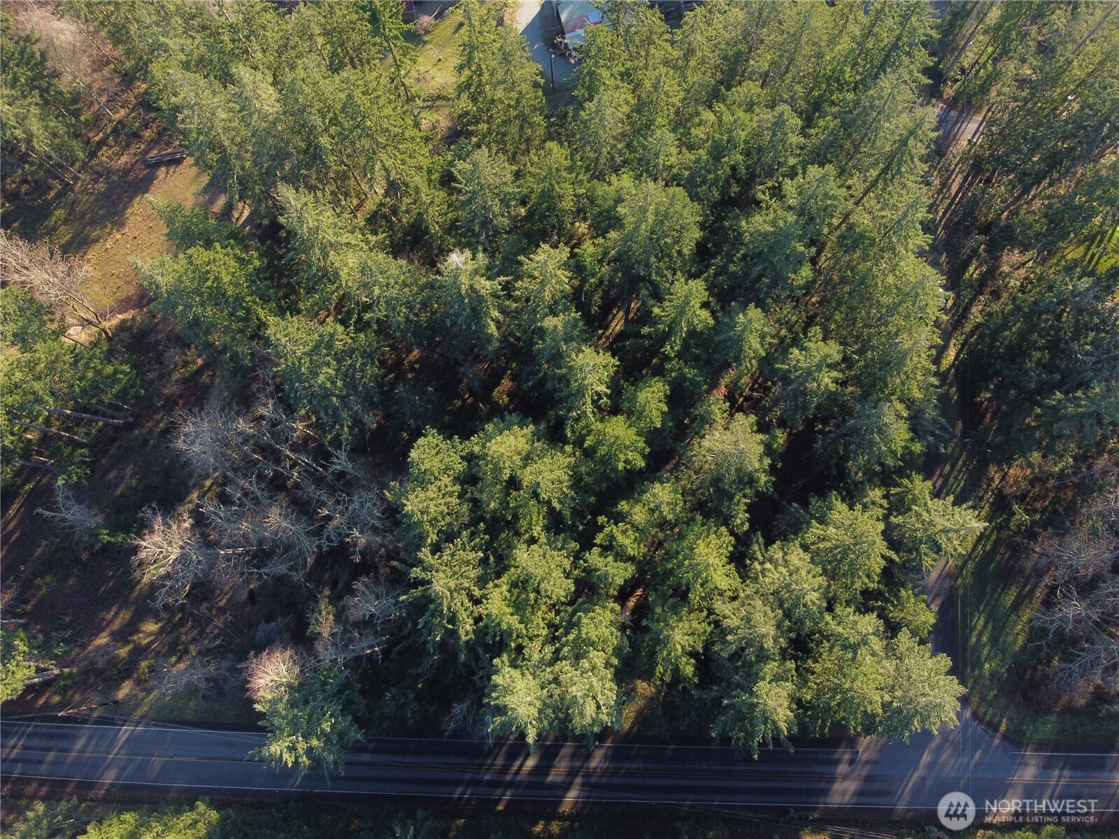 396 Durr Road Camano Island, WA 98282 - Photo 8 of 9 a view of a house with a tree