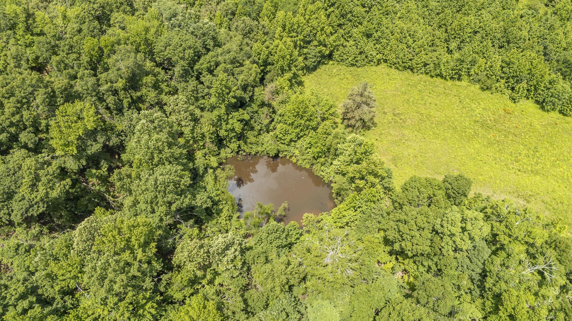 904 Capooth Road Ramer, TN 38367 - Photo 6 of 40
