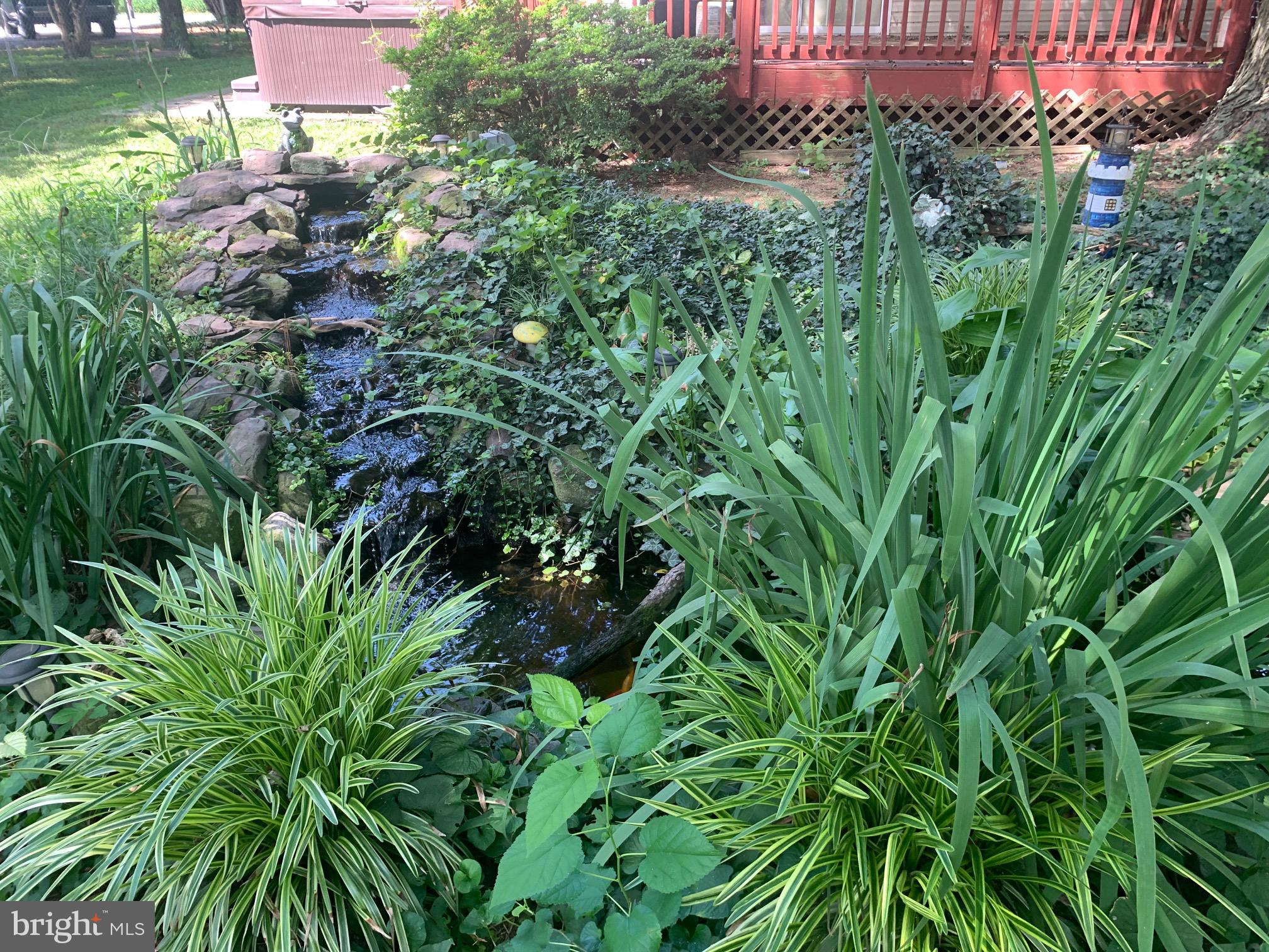 6527 Gravel Branch Road Hurlock, MD 21643 - Photo 17 of 58 Fish pond