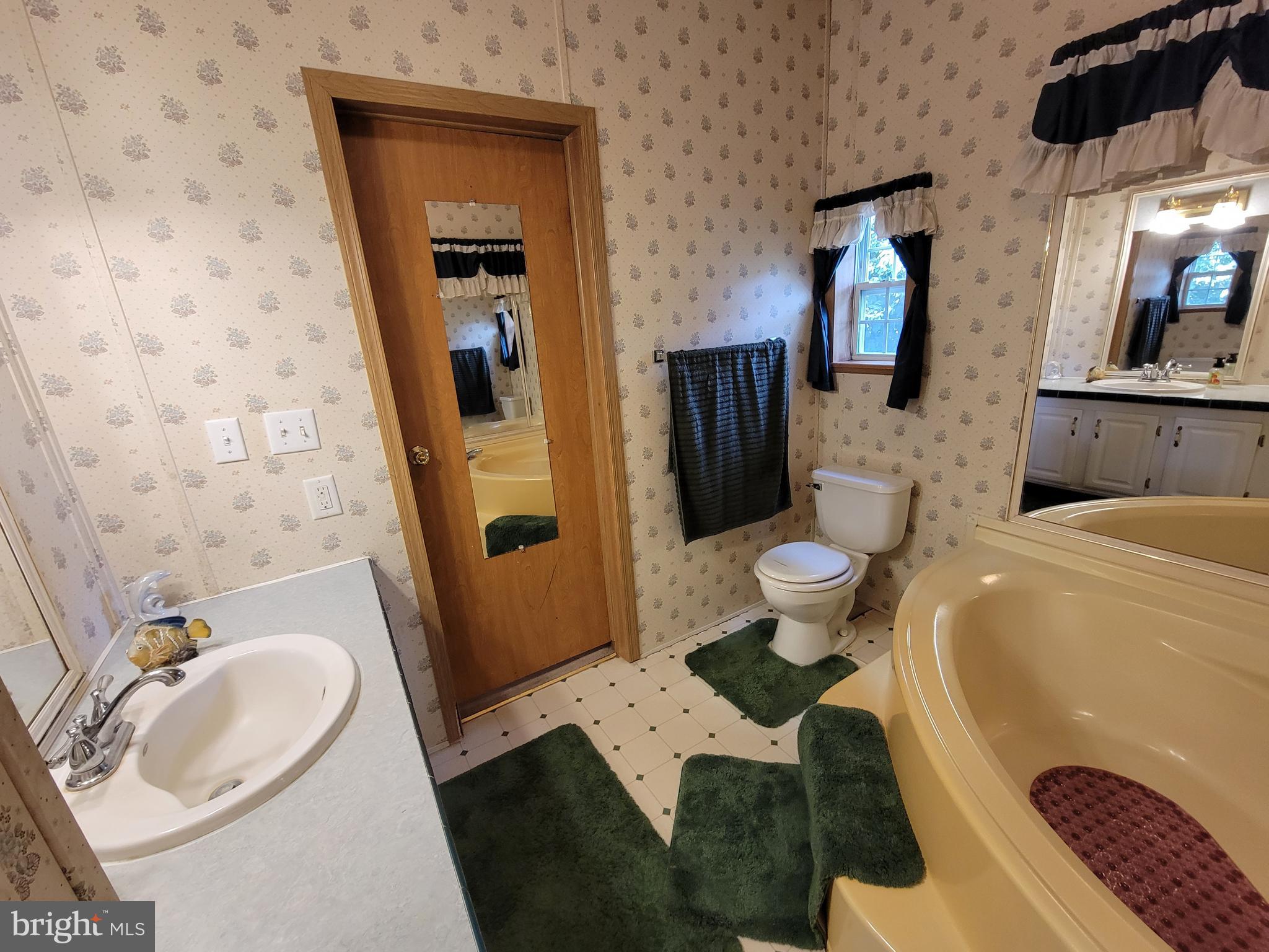 6527 Gravel Branch Road Hurlock, MD 21643 - Photo 57 of 58 Primary bath view