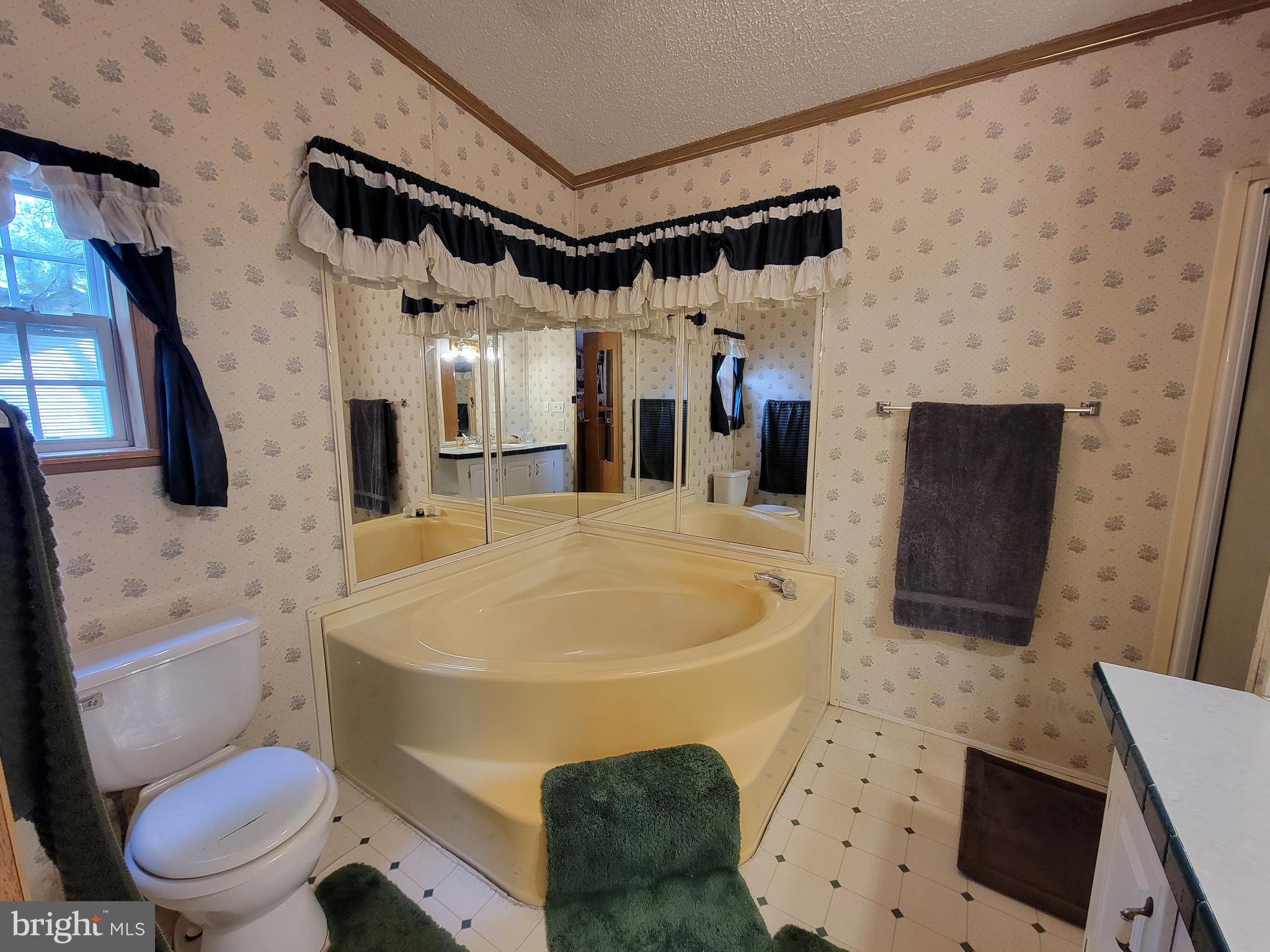 6527 Gravel Branch Road Hurlock, MD 21643 - Photo 58 of 58 Primary bath soaking tub