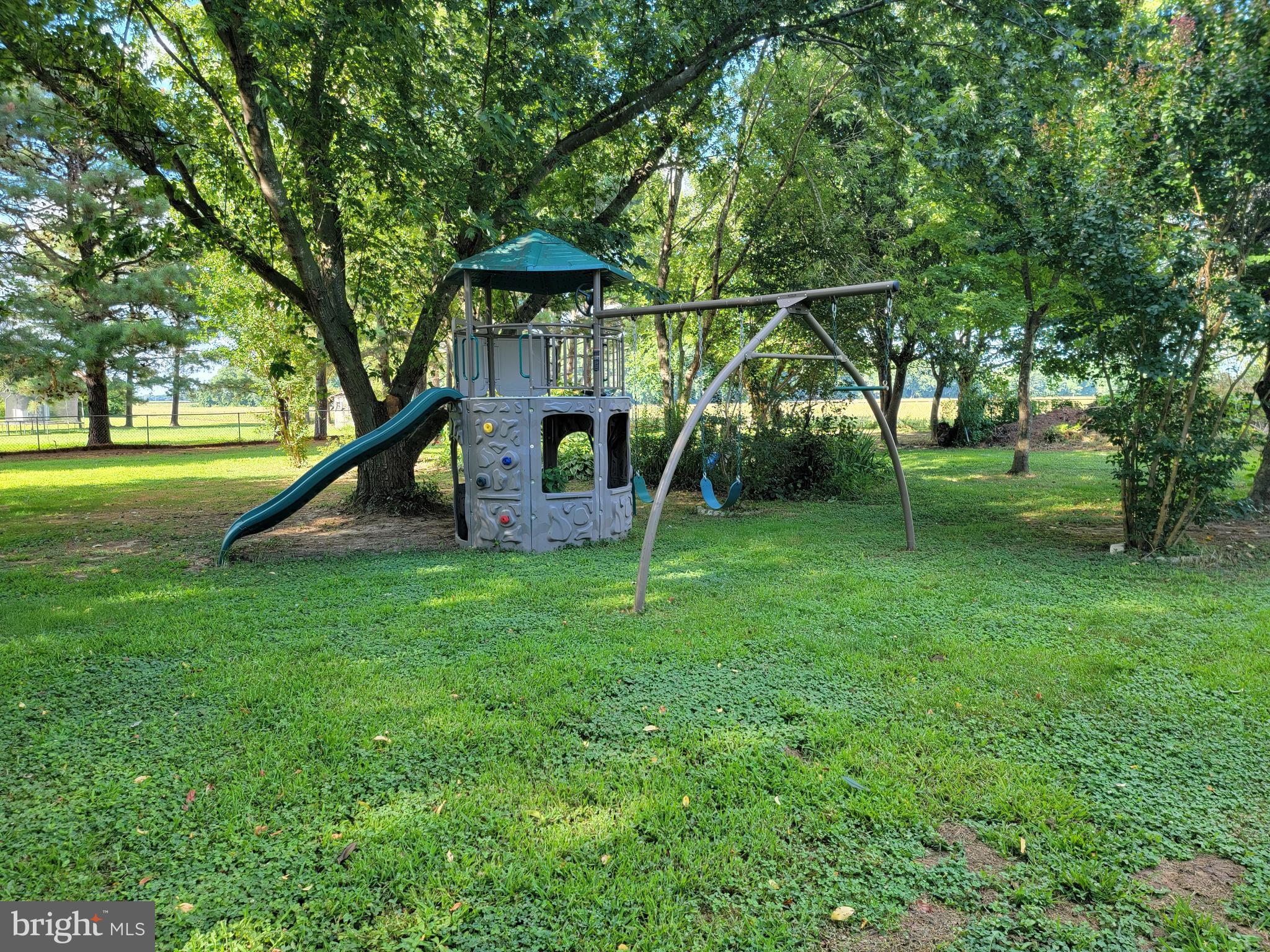 6527 Gravel Branch Road Hurlock, MD 21643 - Photo 10 of 58 Playground conveys