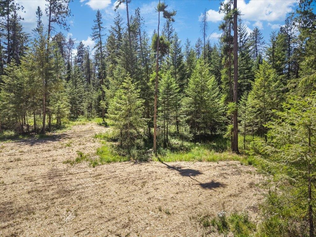 305-xx North Cleveland Road Deer Park, WA 99006 - Photo 5 of 15