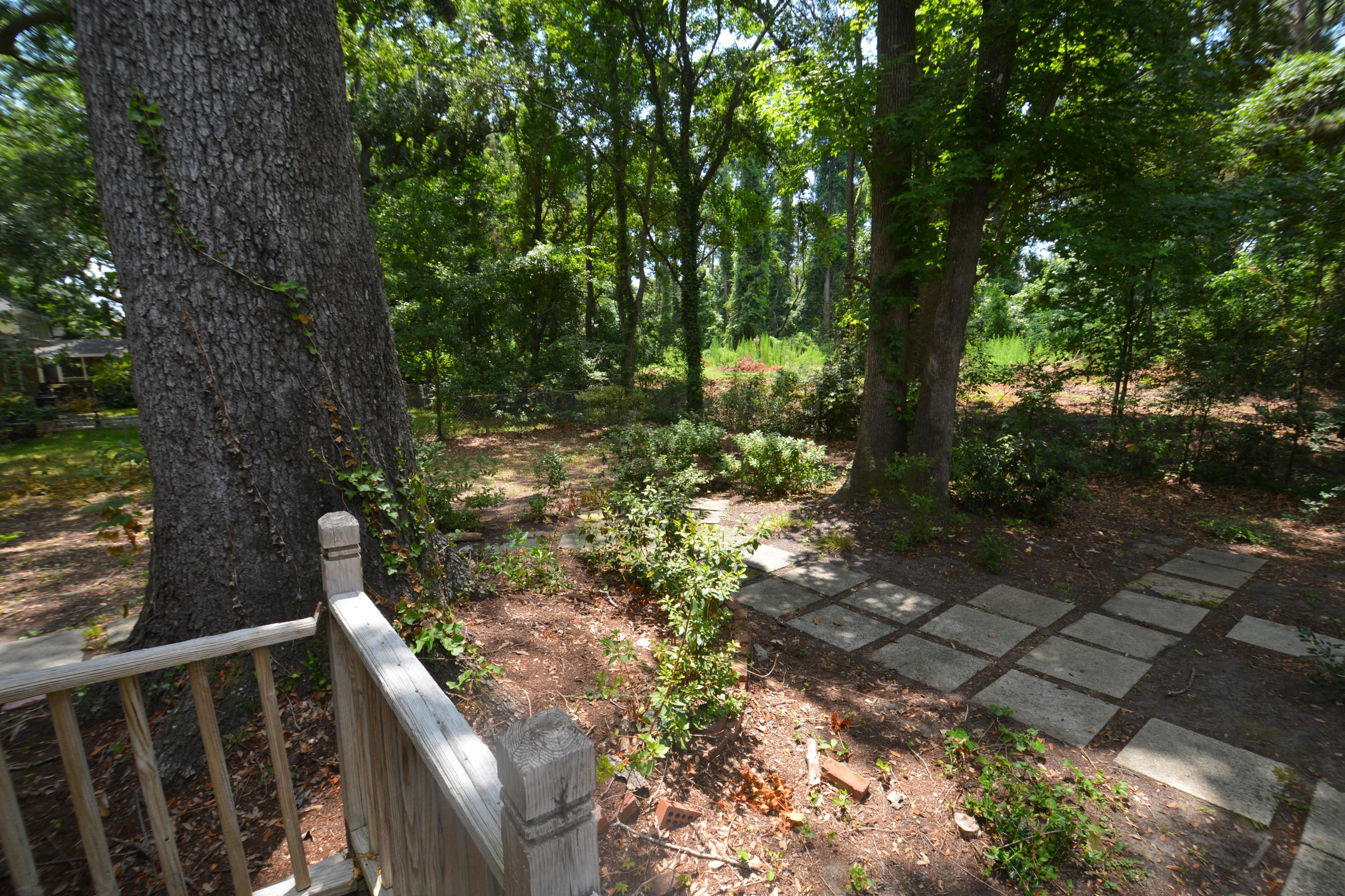 967 Harbortowne Road Charleston, SC 29412 - Photo 3 of 32 back yard looking left