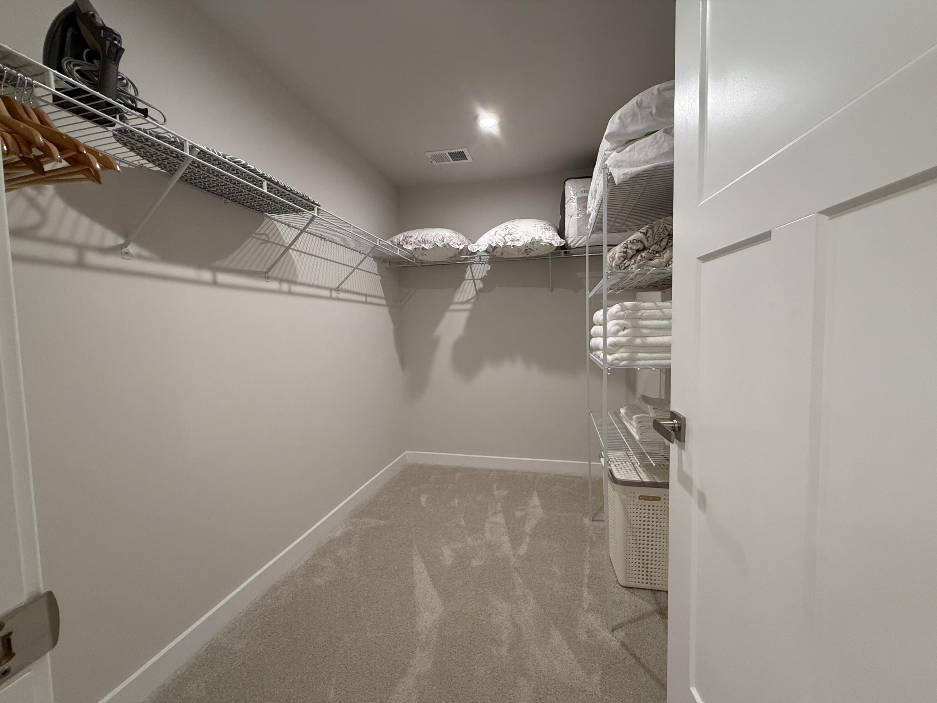 290 Picard Loop Santee, SC 29142 - Photo 10 of 17 Master closet