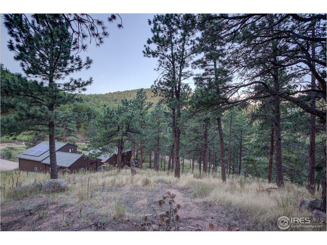 765 Pine Brook Road Boulder, CO 80304 - Photo 37 of 37 a view of a forest filled with trees
