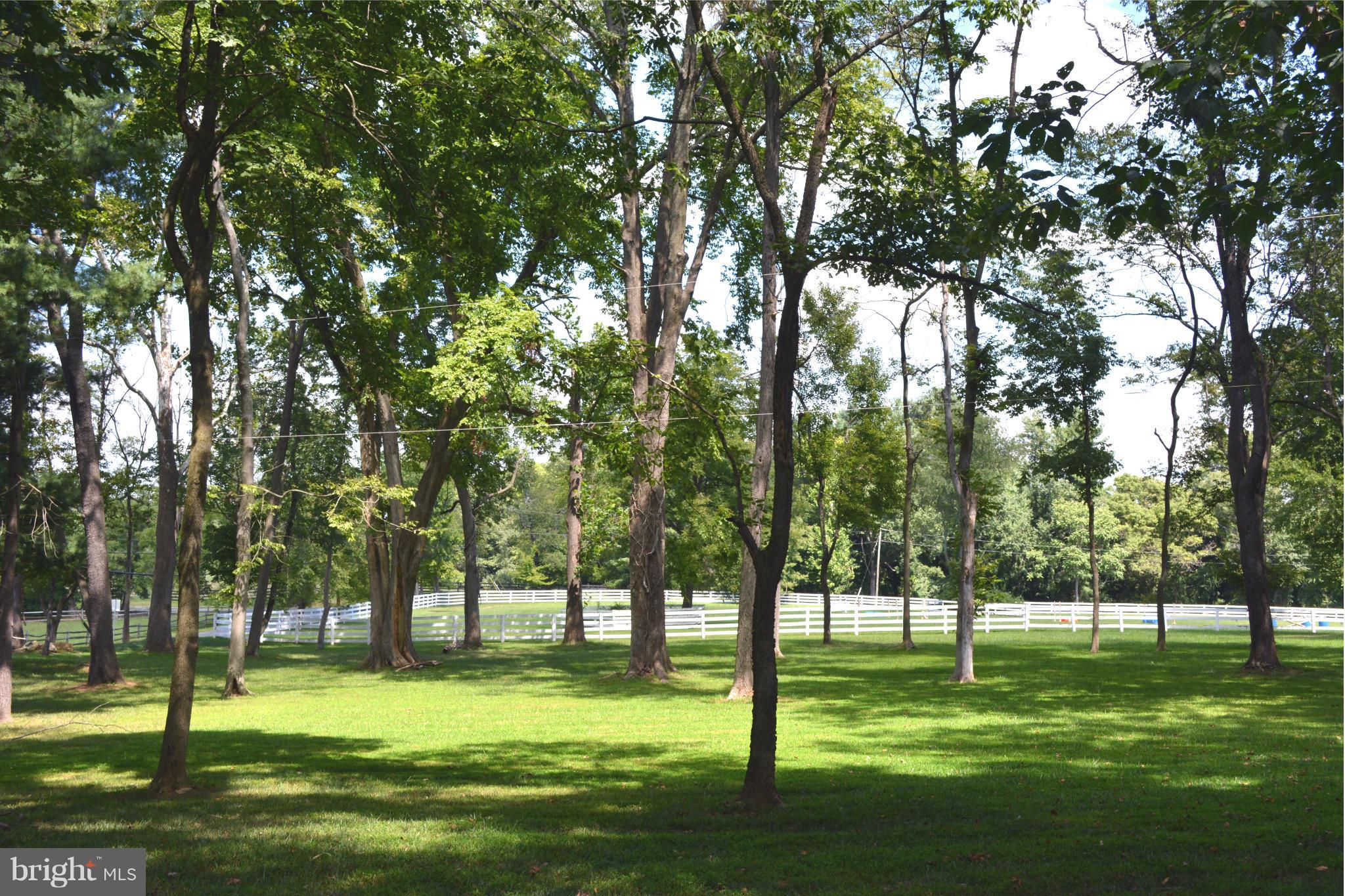 22046 Sam Fred Road Middleburg, VA 20117 - Photo 2 of 21 View
