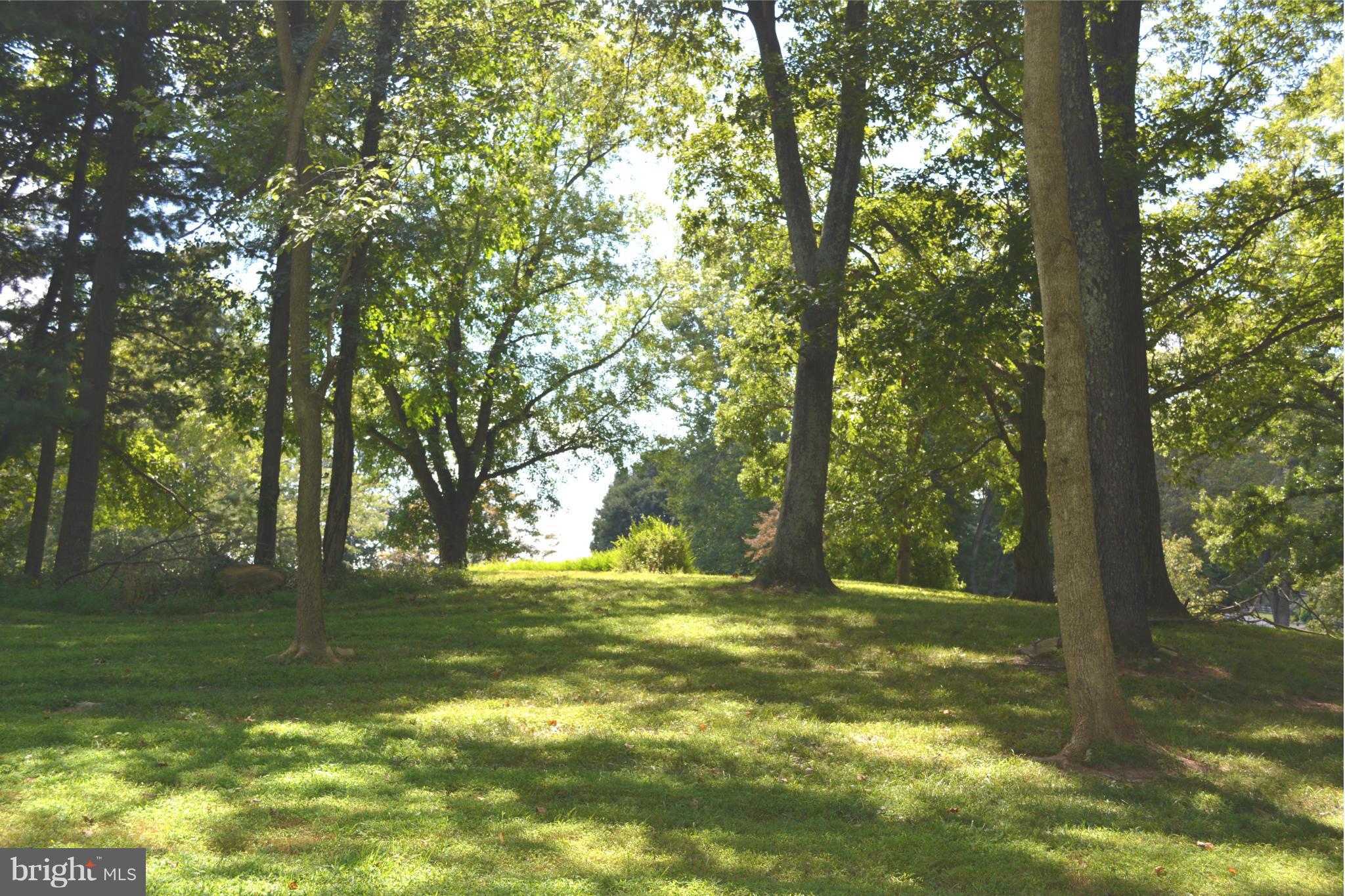 22046 Sam Fred Road Middleburg, VA 20117 - Photo 20 of 21 View
