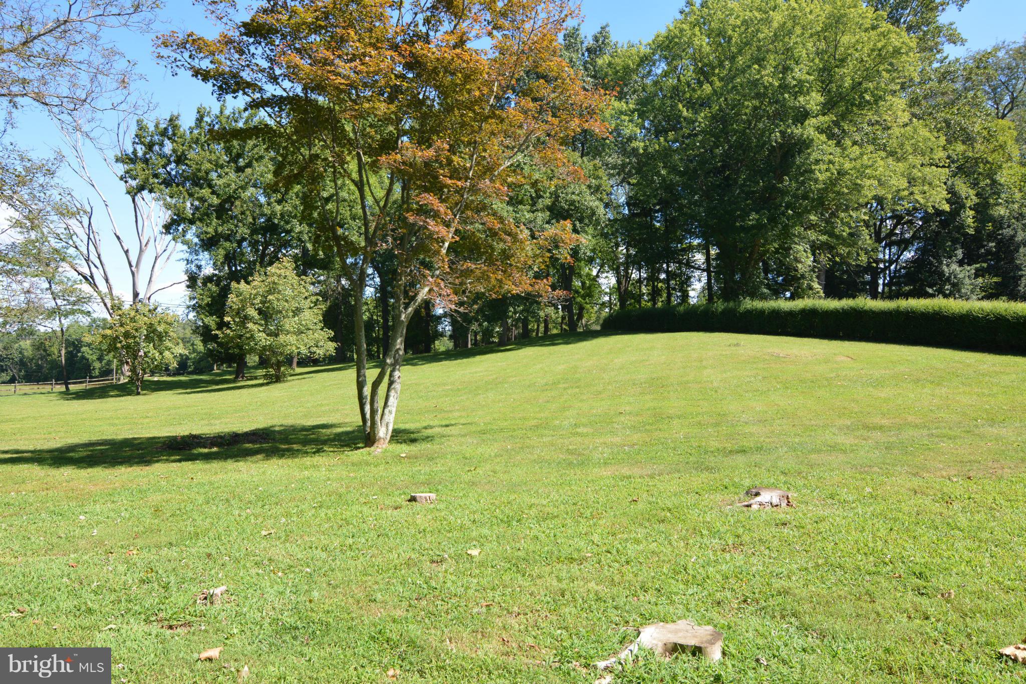 22046 Sam Fred Road Middleburg, VA 20117 - Photo 3 of 21 View