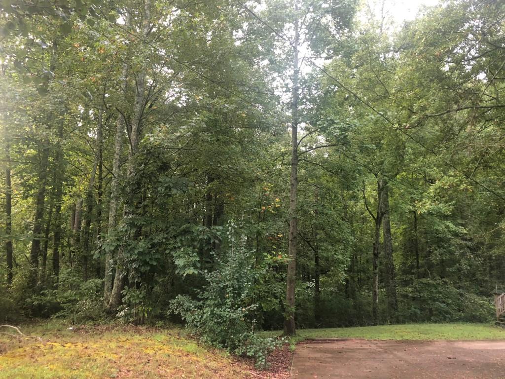 2735 Roper Road, Unit B Cumming, GA 30028 - Photo 1 of 1 Gallery Image 1