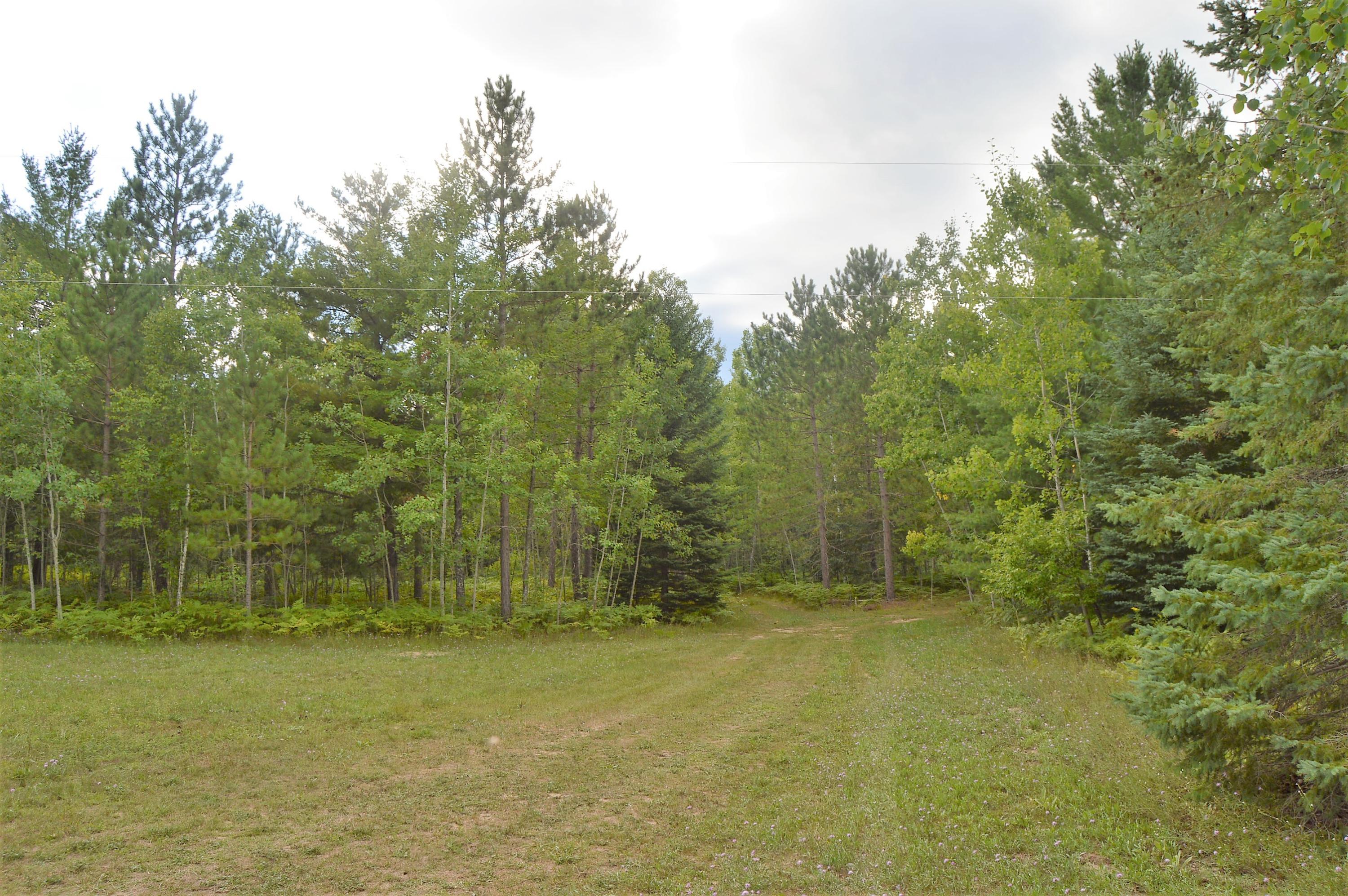 1682 Sharp Road Comins, MI 48619 - Photo 4 of 14 Gallery Image 4