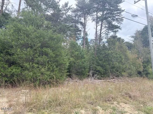 $199,000 | 0 West Greensboro Chapel Hill Road, Liberty, NC 27298