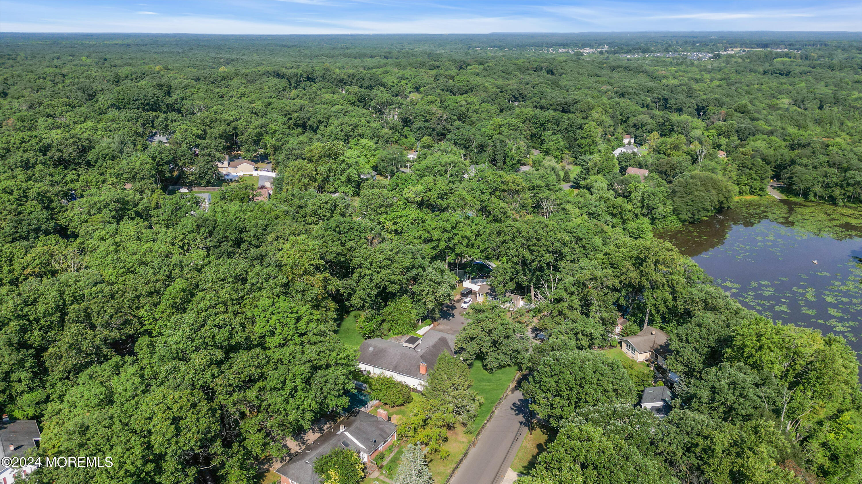 7 Lakeview Drive Jackson, NJ 08527 - Photo 66 of 67 a view of a lush green forest with trees and some houses