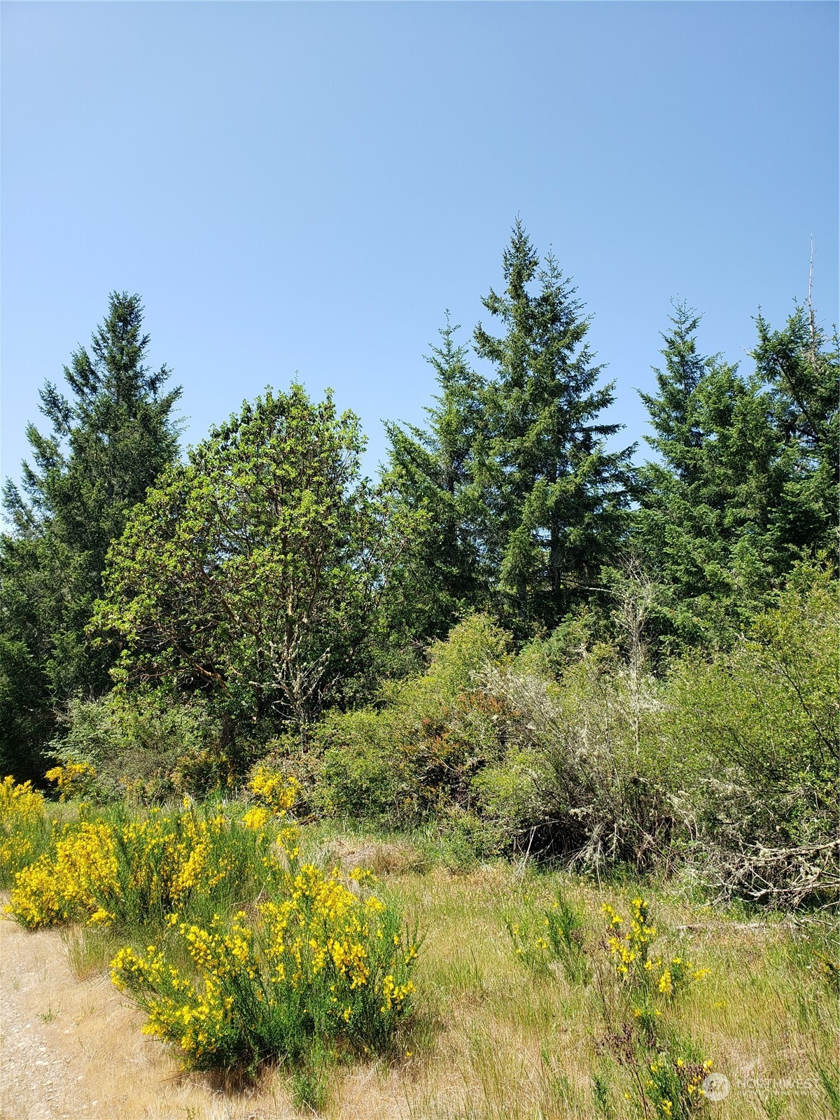 0 East Underline Road Belfair, WA 98528 - Photo 11 of 17 Gallery Image 11