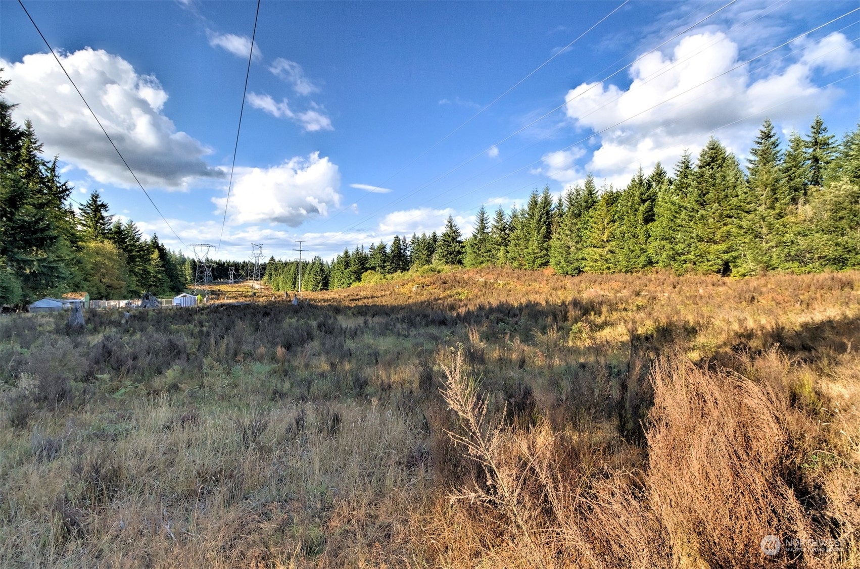 0 East Underline Road Belfair, WA 98528 - Photo 14 of 17 Gallery Image 14