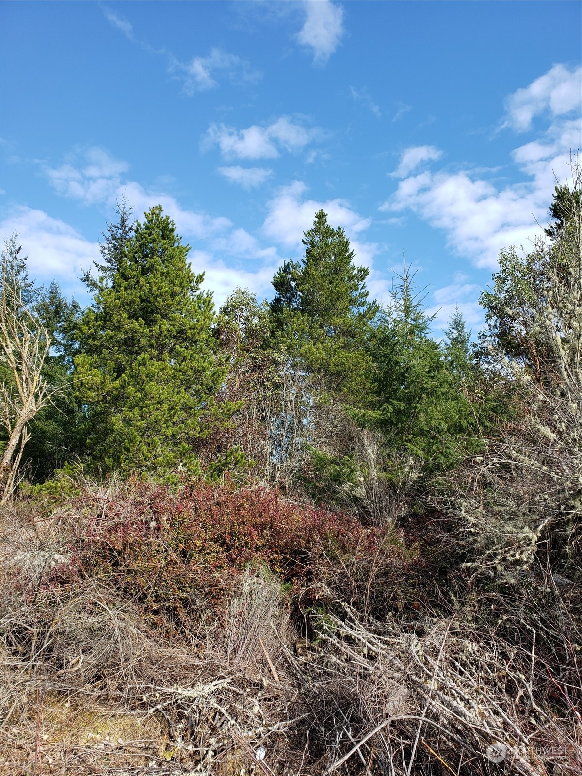 0 East Underline Road Belfair, WA 98528 - Photo 17 of 17 Gallery Image 17