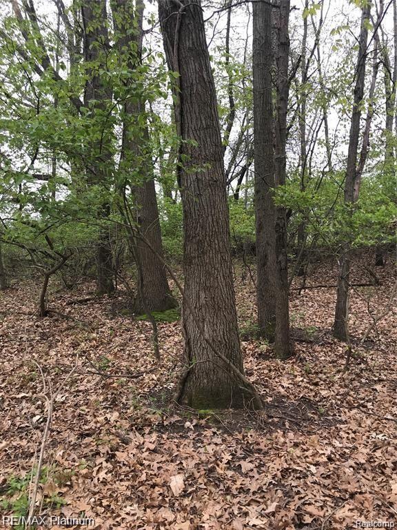 Vl Kane Road Stockbridge, MI 49285 - Photo 20 of 23