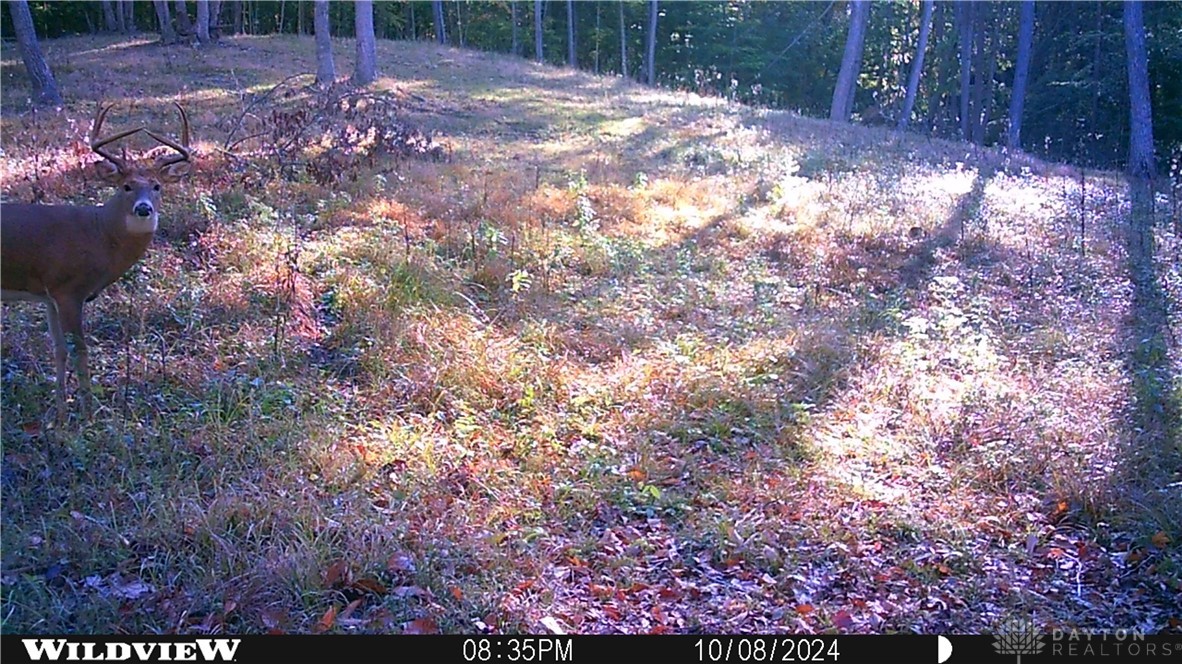 34292 State Rte 41 Peebles, OH 45660 - Photo 21 of 38