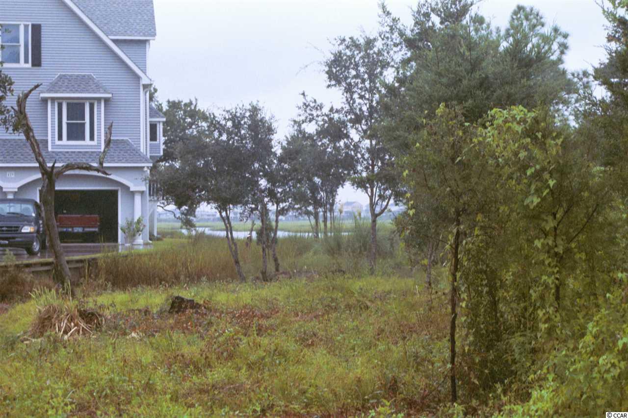 Lot B-1 Vereen Road Murrells Inlet, SC 29576 - Photo 2 of 18 Gallery Image 2
