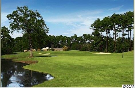 Lot B-1 Vereen Road Murrells Inlet, SC 29576 - Photo 12 of 18 Gallery Image 12