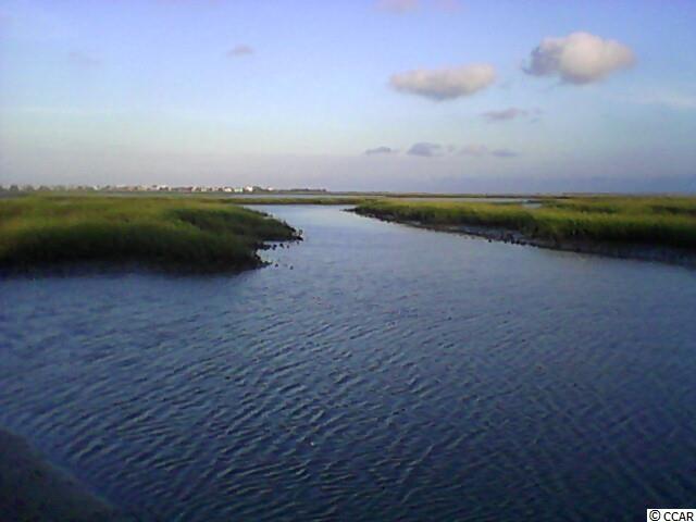 Lot B-1 Vereen Road Murrells Inlet, SC 29576 - Photo 13 of 18 Gallery Image 13
