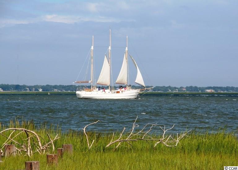 Lot B-1 Vereen Road Murrells Inlet, SC 29576 - Photo 16 of 18 Gallery Image 16