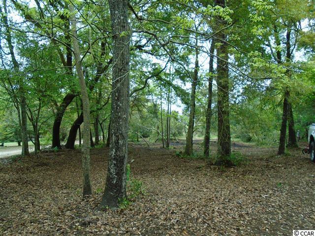 Lot B-1 Vereen Road Murrells Inlet, SC 29576 - Photo 7 of 18 Gallery Image 7
