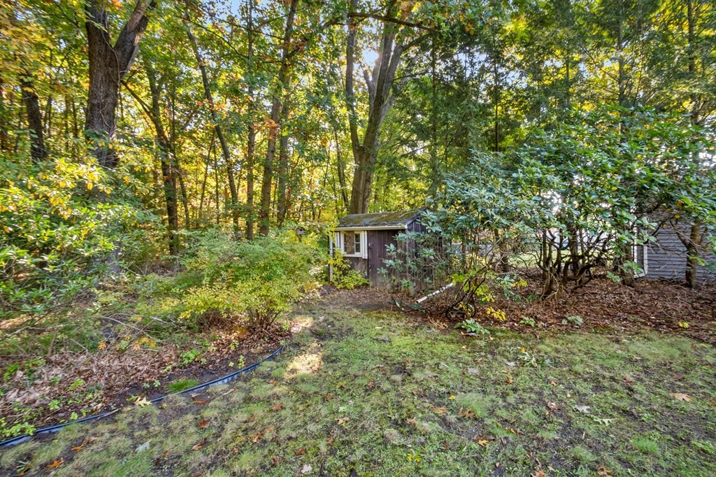 65 Glenvale Street Springfield, MA 01119 - Photo 32 of 39