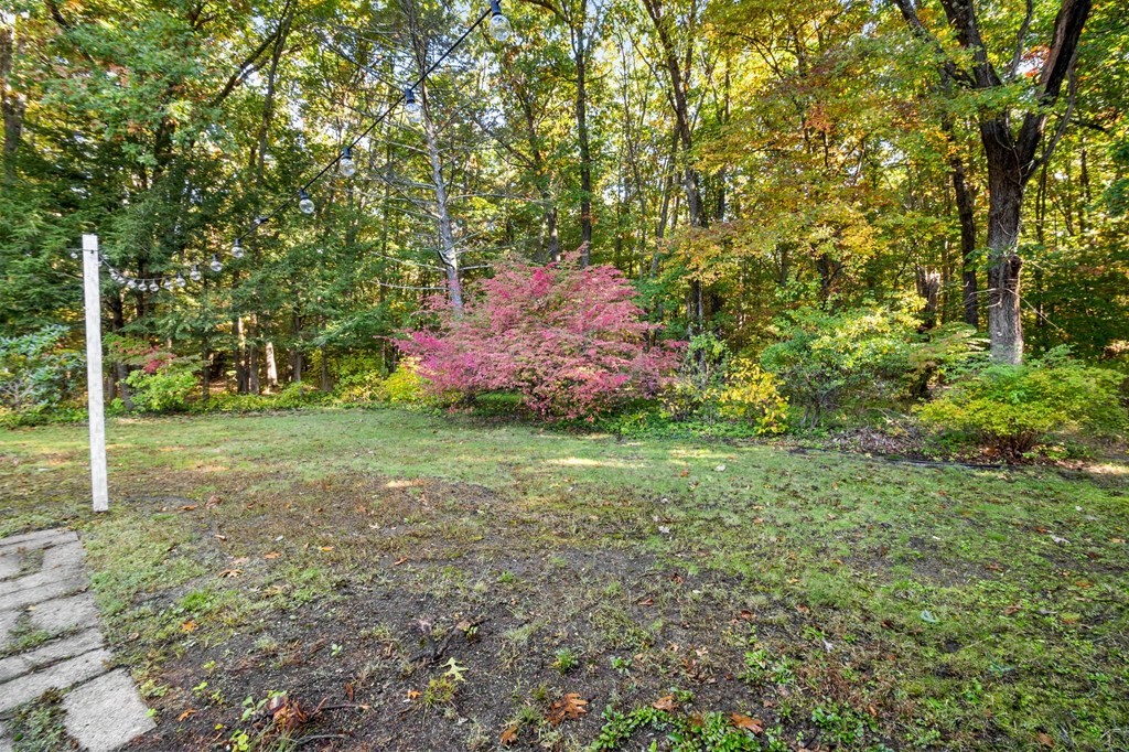 65 Glenvale Street Springfield, MA 01119 - Photo 35 of 39